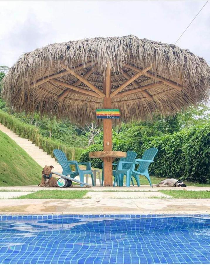 Dali Boutique Apartments Playa Santa Teresa  Exteriör bild